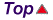 top_2.gif (1229 bytes)